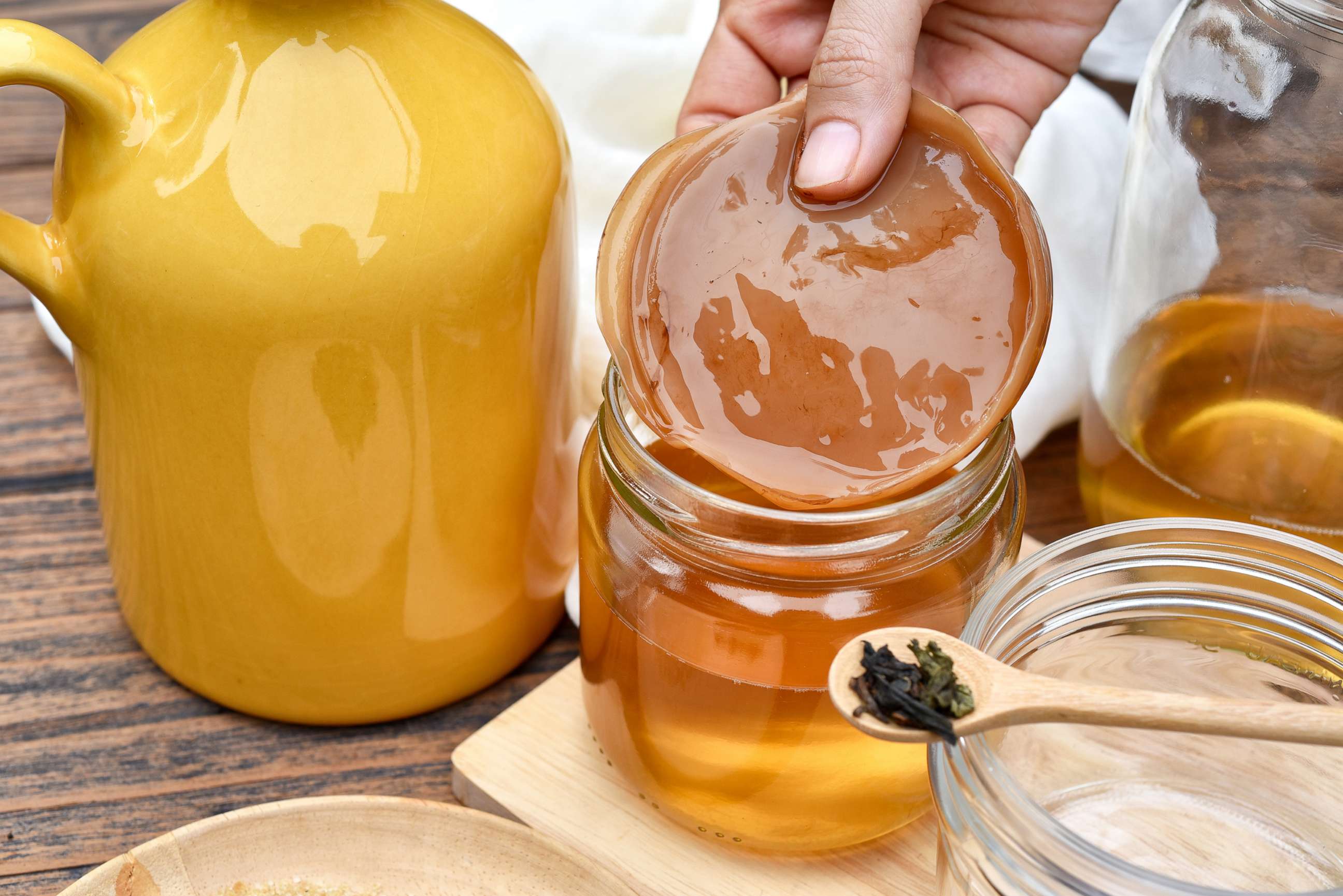 PHOTO: A kombucha tea "SCOBY" is a symbiotic colony of bacteria and yeast.