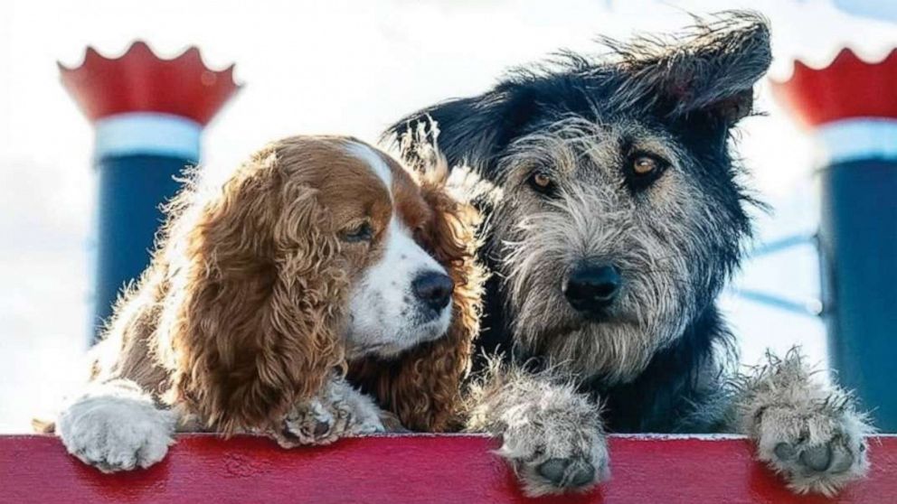 PHOTO: The first look for the live action "Lady and the Tramp."