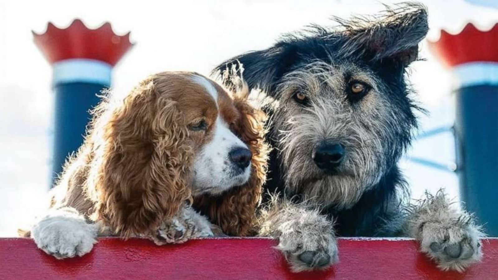 PHOTO: The first look for the live action "Lady and the Tramp."