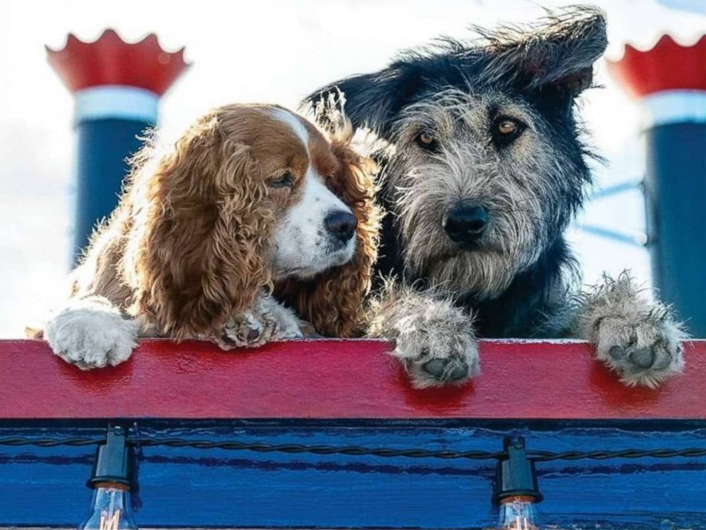 PHOTO: The first look for the live action Lady and the Tramp.