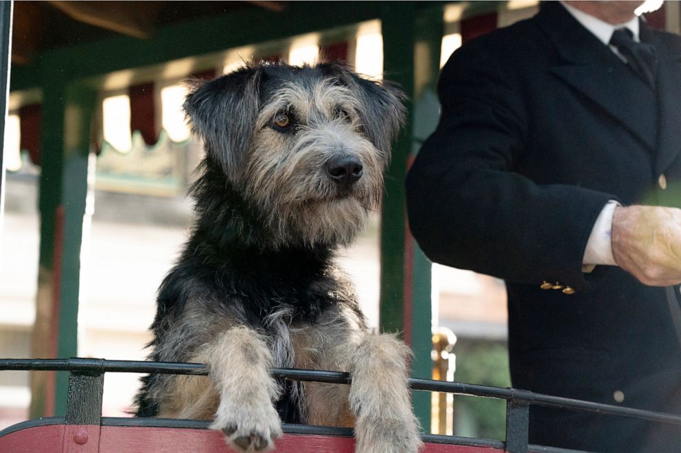 PHOTO: Disney releases new trailer for live-action Lady and the Tramp, debuting only on Disney+