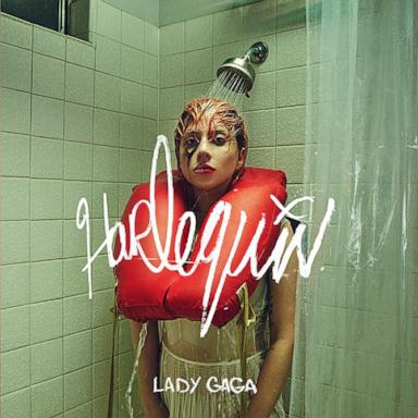 PHOTO: Lady Gaga Harlequin album cover