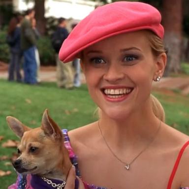 PHOTO: Reese Witherspoon appears in a scene from the 2001 movie "Legally Blonde."