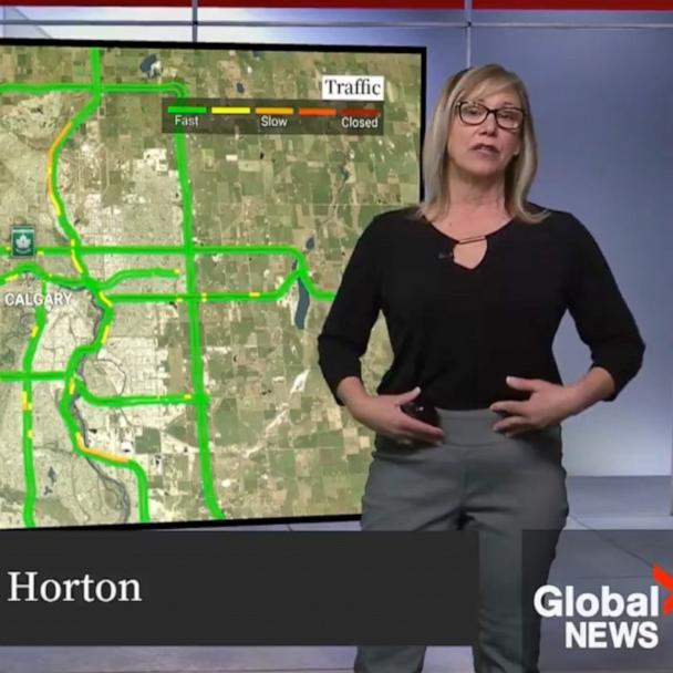Calgary TV reporter Leslie Horton goes viral after calling out