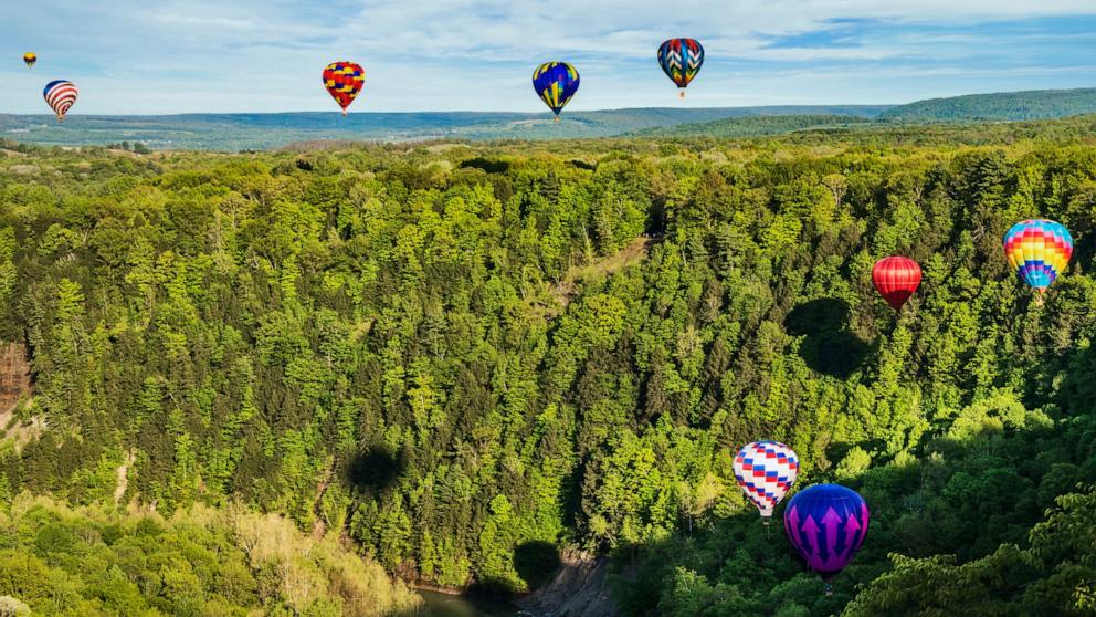 PHOTO: Hot air balloons fly over Letchworth State Park in New York State.