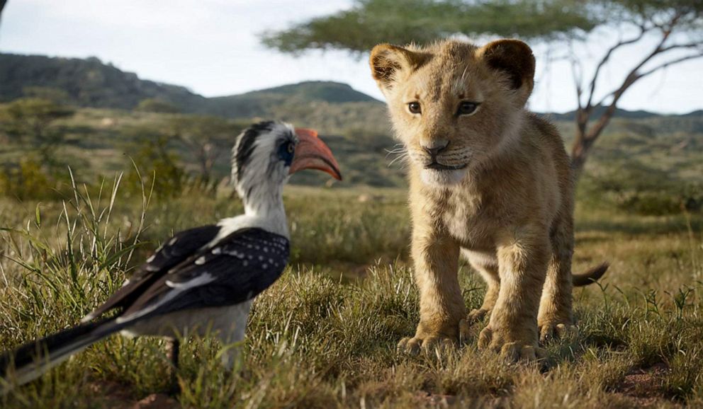 PHOTO: A scene from "The Lion King."