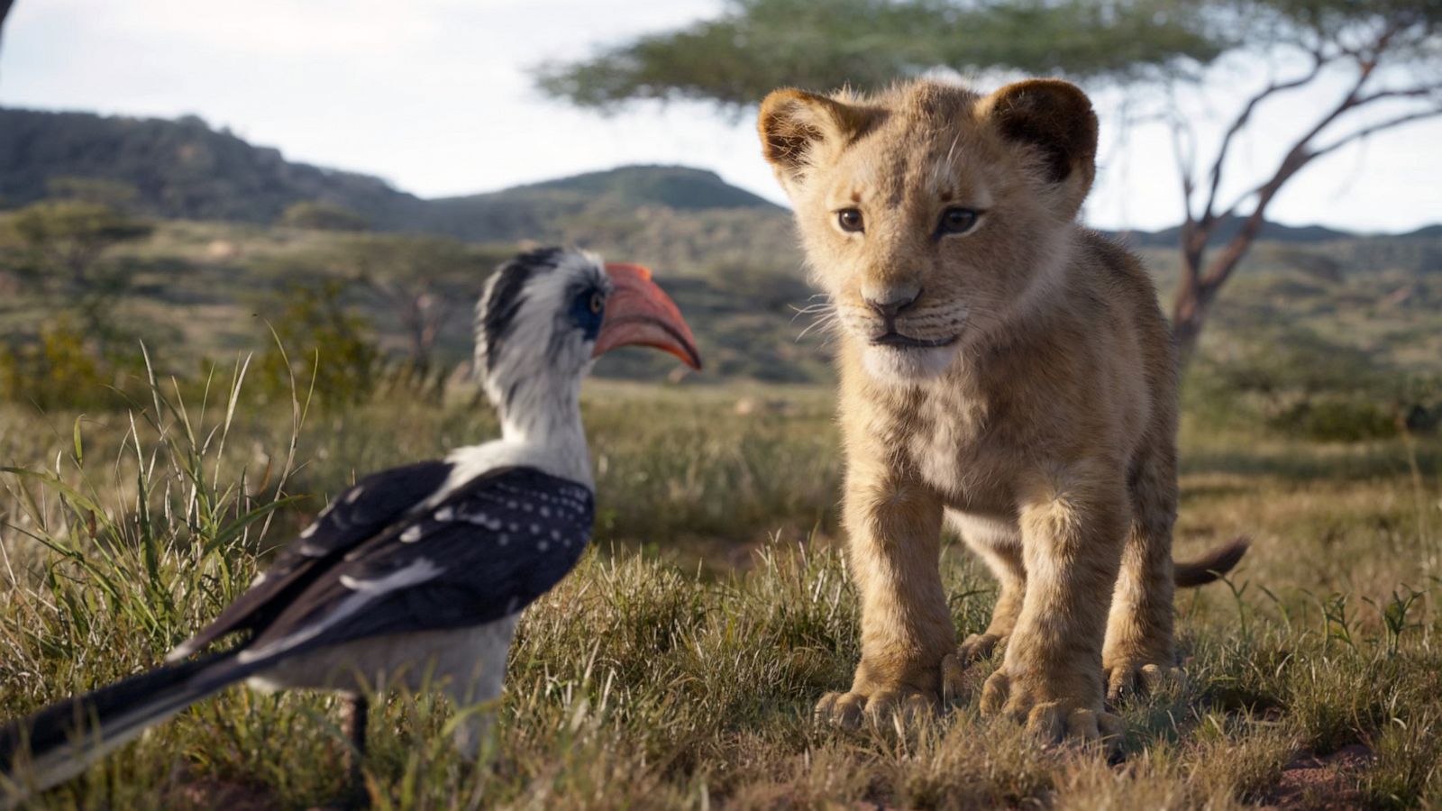 PHOTO: "The Lion King," in theaters July 29, 2019.