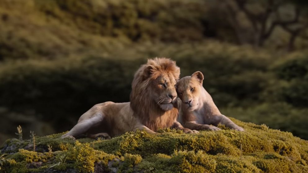 VIDEO: Beyonce, Donald Glover sing 'Can You Feel The Love Tonight' in 'Lion King' trailer