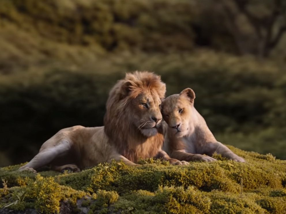 PHOTO: A scene from Lion King.