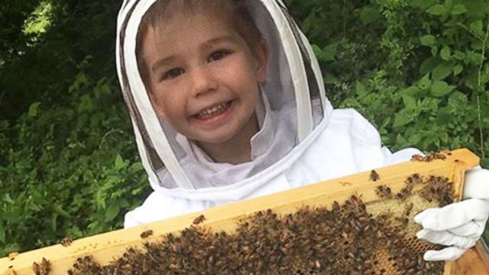 PHOTO: 3-year-old Cooper is shown with his bees in this undated photo.