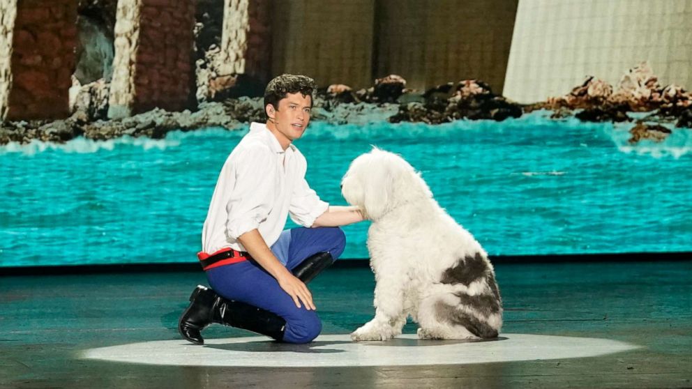 Meet Bagel the dog, who stole the show in 'The Little Mermaid Live