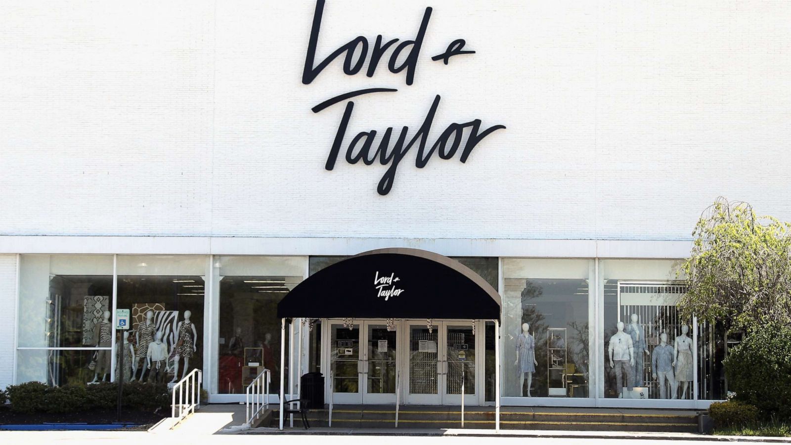 lord and taylor brand clothing