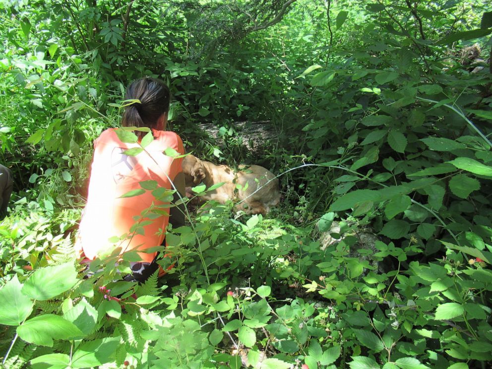 PHOTO: Hikers Kelly McDuffie and Danny Hartung found Max, a Golden Retriever who got lost 11 days prior.