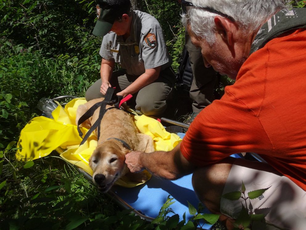 PHOTO: Hikers Kelly McDuffie and Danny Hartung found Max, a Golden Retriever who got lost 11 days prior.