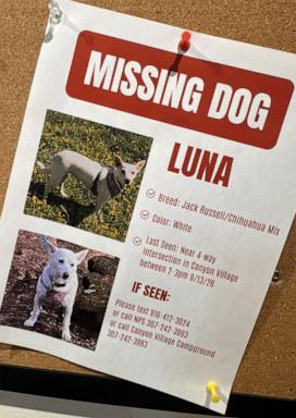 PHOTO: This photo made with a smartphone and provided by Marie Jaskula shows a poster, created by Katie Boucher, asking for information about a missing dog named Luna, Oct. 13, 2026, at Yellowstone National Park, Wyo.