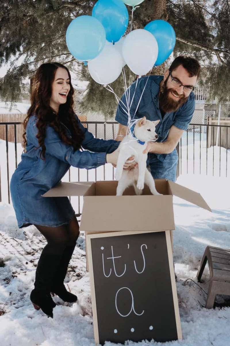 PHOTO: Lily Denesha of Idaho, shared photos of herself and her boyfriend Paul Callahan showing off their newly adopted pup named Percy.