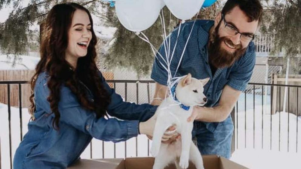 PHOTO: Lily Denesha of Idaho, shared photos of herself and her boyfriend Paul Callahan showing off their newly adopted pup named Percy.