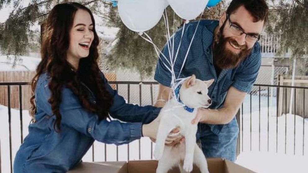 PHOTO: Lily Denesha of Idaho, shared photos of herself and her boyfriend Paul Callahan showing off their newly adopted pup named Percy.