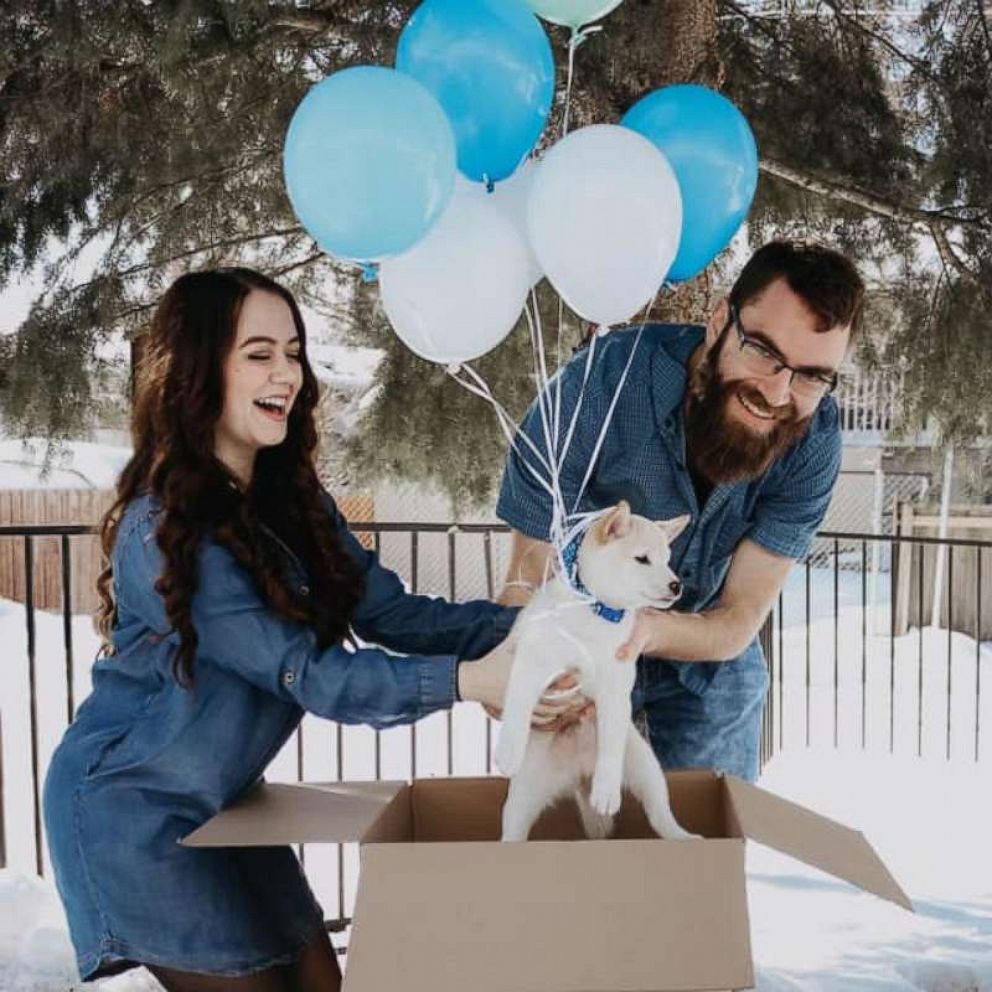VIDEO: Couple reveals puppy's arrival in sweetest photoshoot