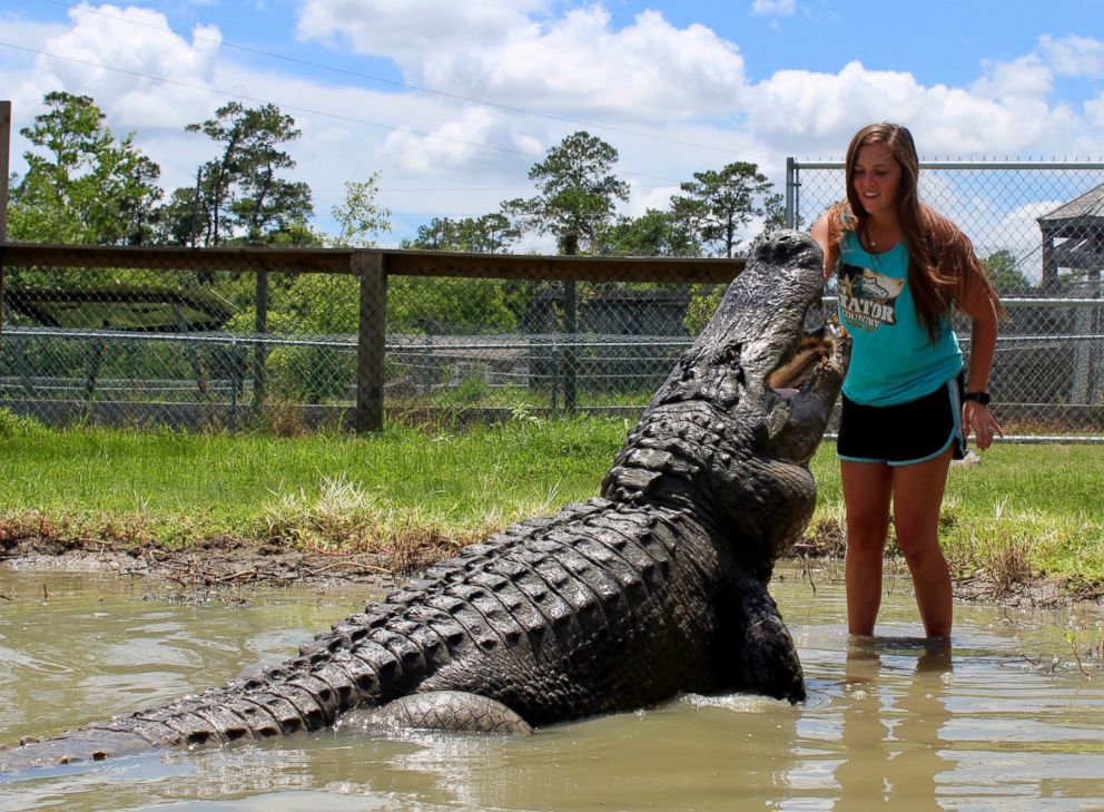 PHOTO: Makenzie Holland took her Texas A&M graduation photos with "Big Tex" a gator she bonded with while interning at Gator Country Rescue.