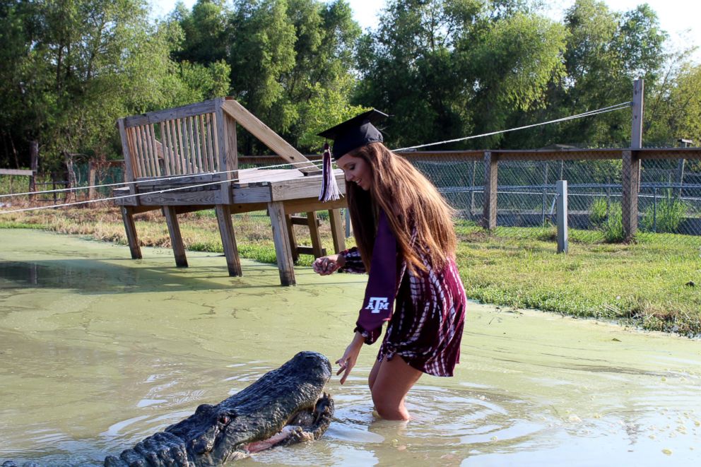 PHOTO: Makenzie Holland took her Texas A&M graduation photos with "Big Tex" a gator she bonded with while interning at Gator Country Rescue.