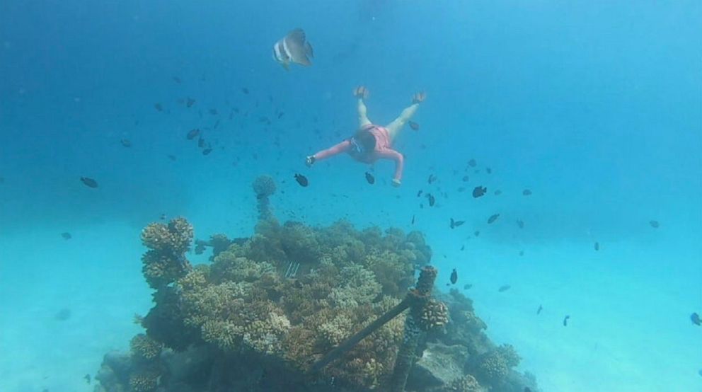 PHOTO: ABC’s Ginger Zee explores coral reefs in the Maldives.