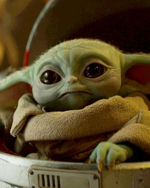 Star Wars The Mandalorian: 17 of the best Baby Yoda memes, indy100