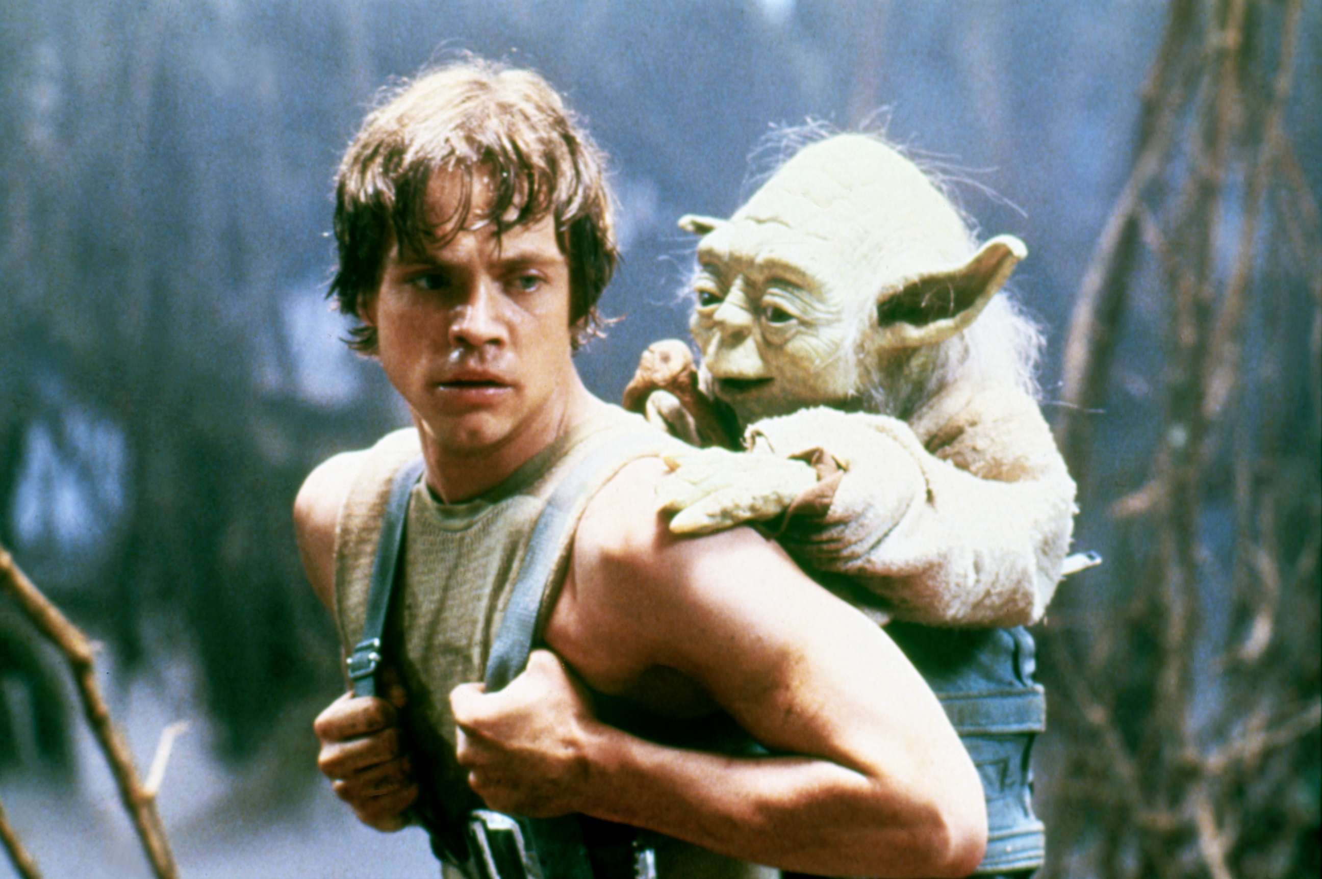 Mark Hamill praises bullied kid for following 'the Jedi way