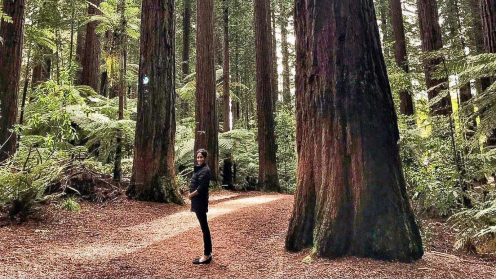 PHOTO: Meghan Markle, The Duchess of Sussex, in the Redwoods forest in Rotorua, New Zealand.