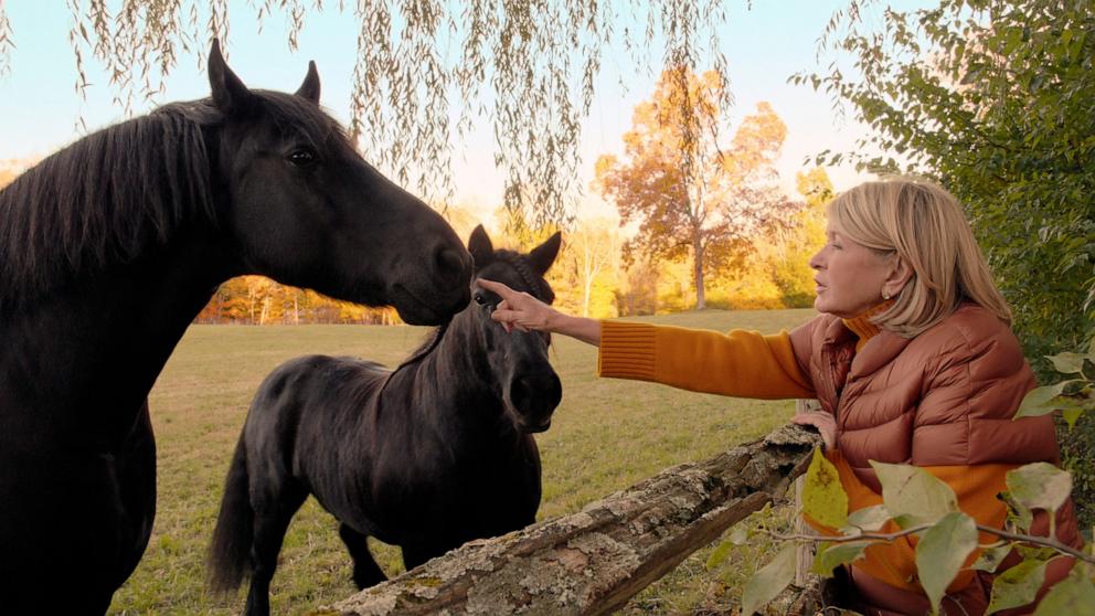 PHOTO: This image released by Netflix shows Martha Stewart in a scene from the documentary "Martha."