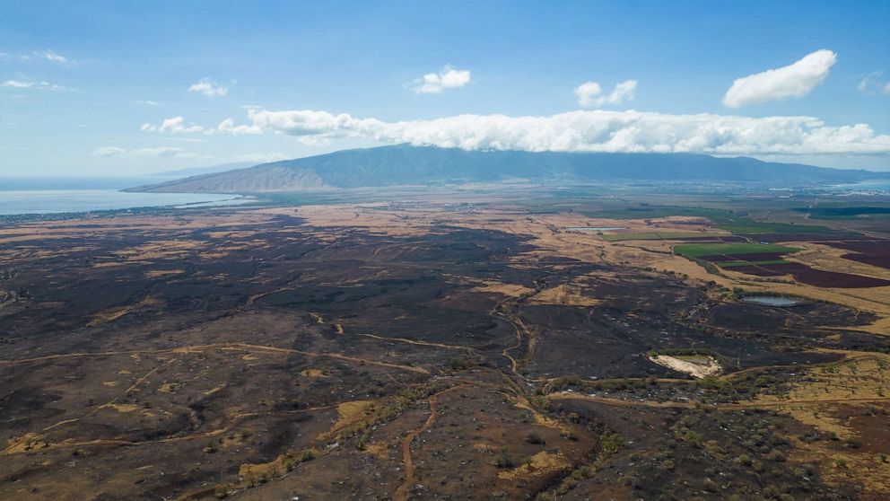 PHOTO: Imagery from Haleakala Ranch shows the burn scar of the Pulehu fire.
