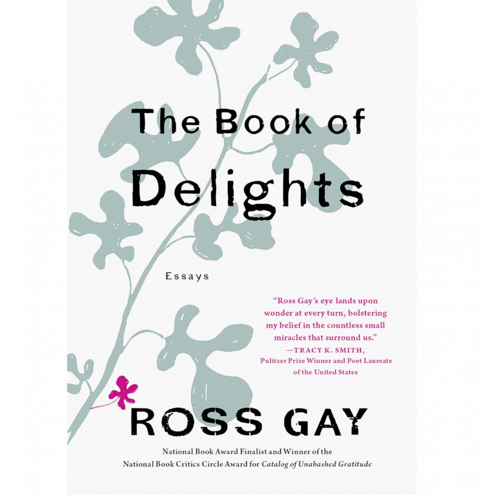 PHOTO: "The Book of Delights: Essays," by Ross Gay