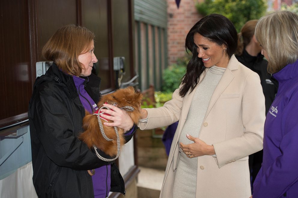 PHOTO: Meghan, the Duchess of Sussex meets "Foxy" during her visit to the Mayhew, an animal welfare charity, Jan. 16, 2019, in London.