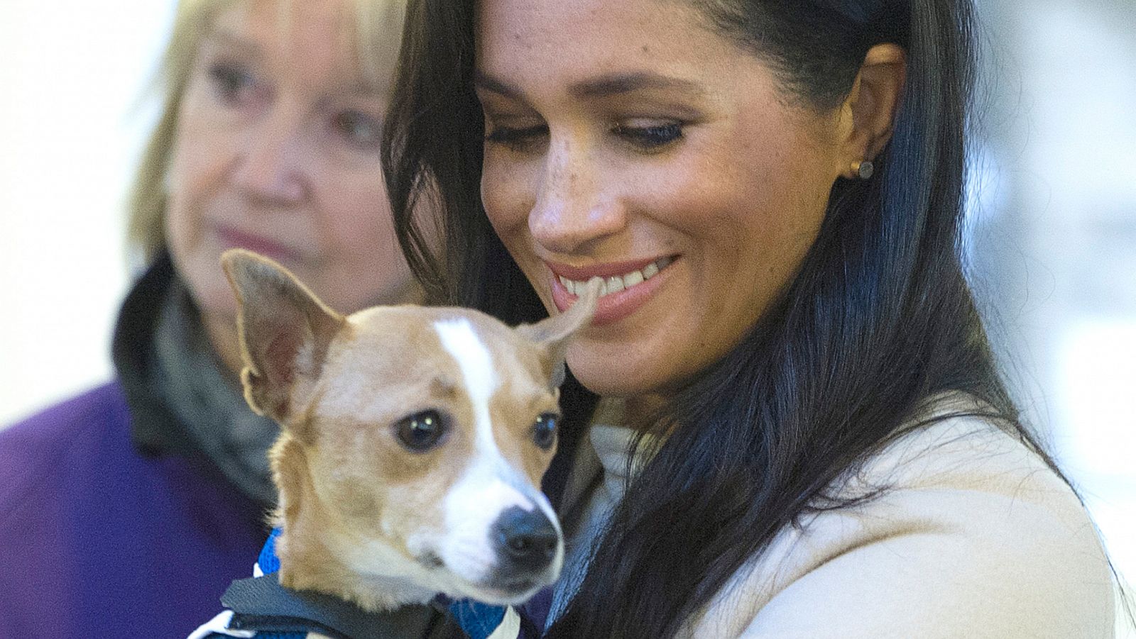 PHOTO: Meghan, the Duchess of Sussex meets a Jack Russell called "Minnie" during her visit to the Mayhew, an animal welfare charity, Jan. 16, 2019, in London.