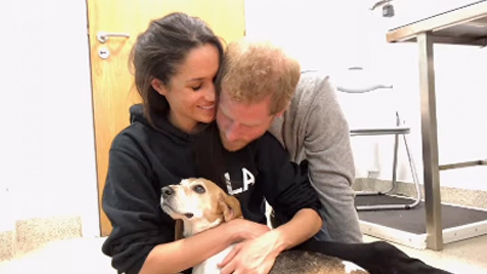 PHOTO: Meghan Markle and Prince Harry appear in this screengrab with their dog, Guy.