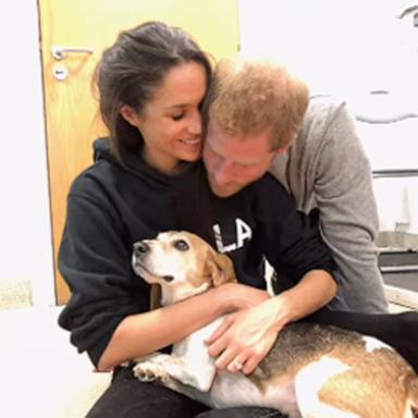 PHOTO: Meghan Markle and Prince Harry appear in this screengrab with their dog, Guy.