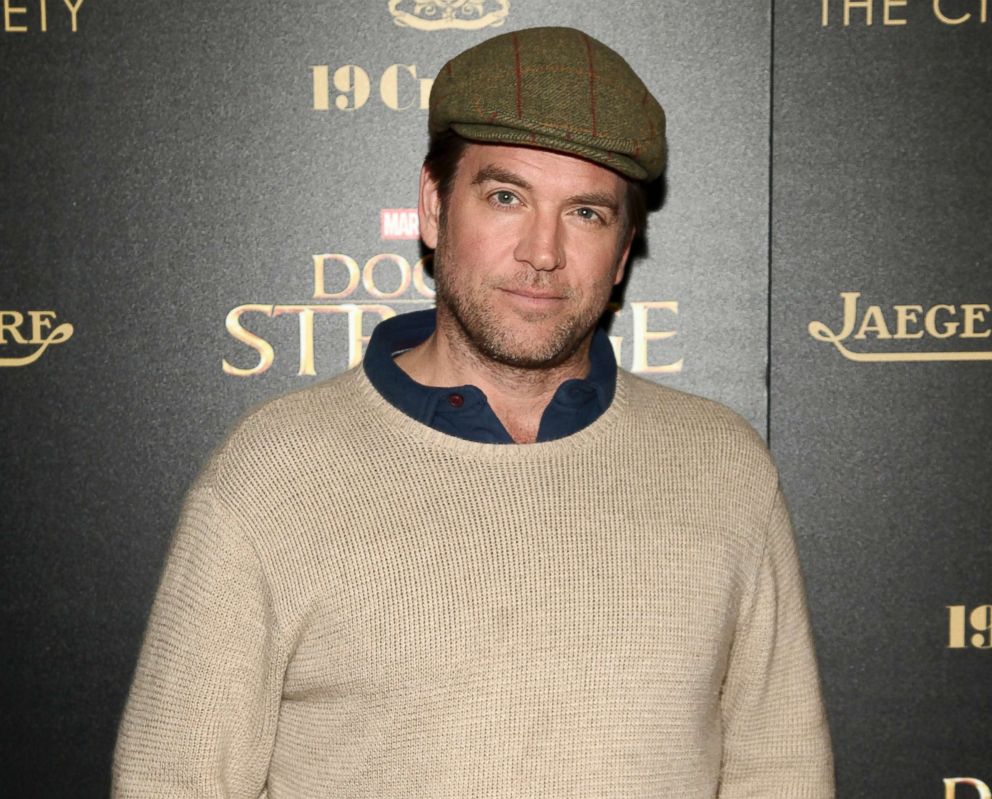 PHOTO: In this Nov. 1, 2016, file photo, Michael Weatherly attends an event in New York.