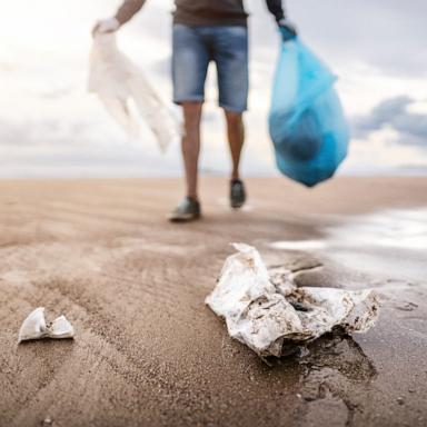 PHOTO: A person collects rubbish on a beach.