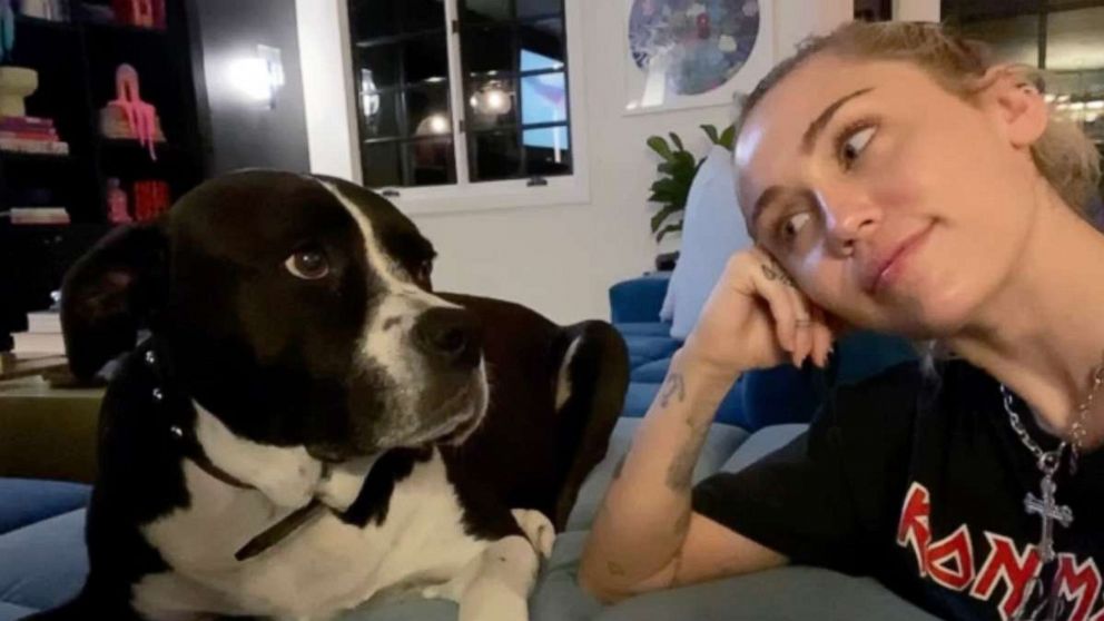 Miley Cyrus mourns death of beloved dog, Mary Jane, with touching video -  Good Morning America