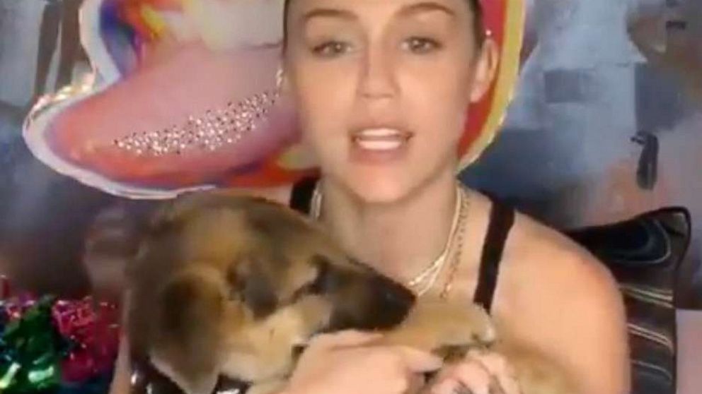 PHOTO: Miley Cyrus with her rescue pup Bo in a video posted to her Instagram.