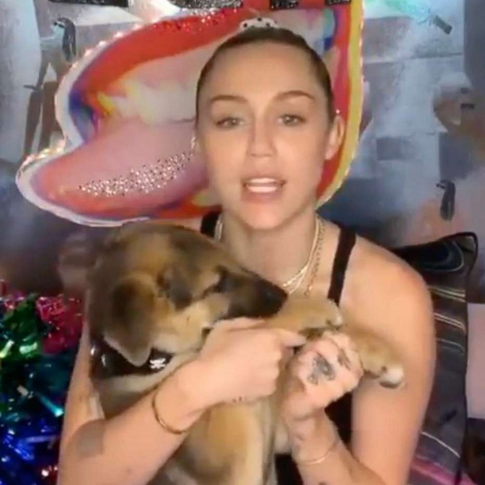 Miley Cyrus and Selena Gomez both adopt rescue puppies - Good Morning  America