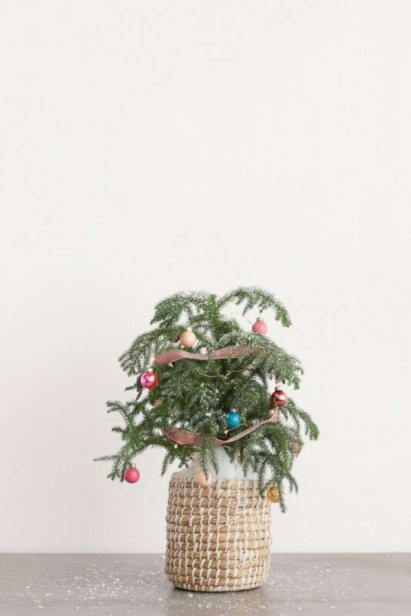 PHOTO: Christmas mini tree.