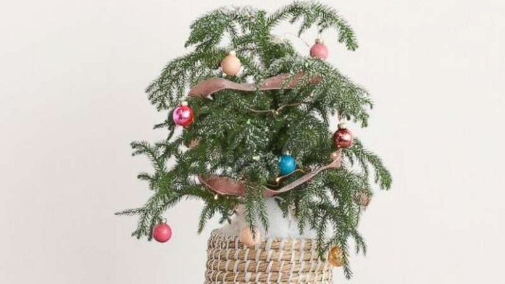 PHOTO: Christmas mini tree.