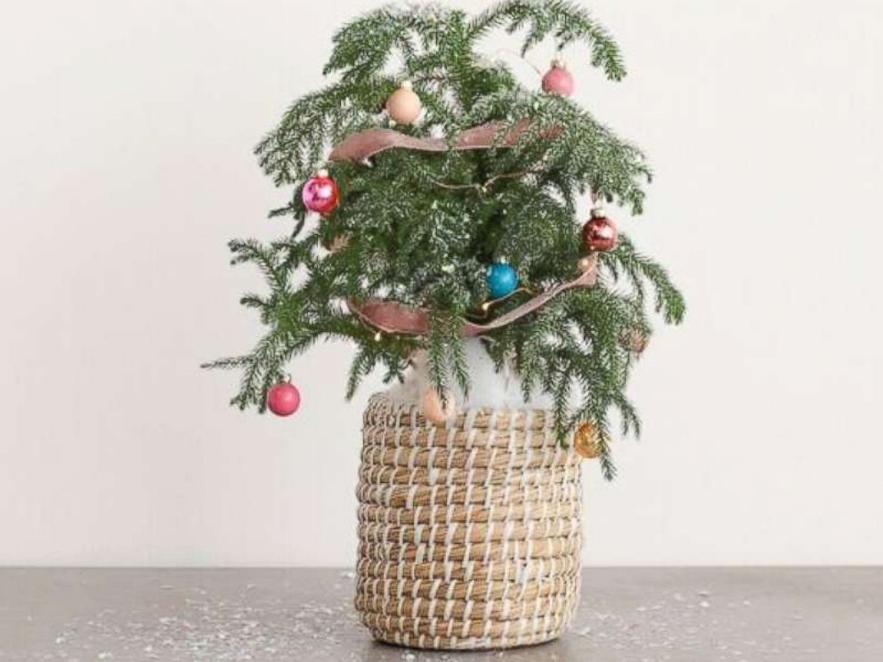 PHOTO: Christmas mini tree.