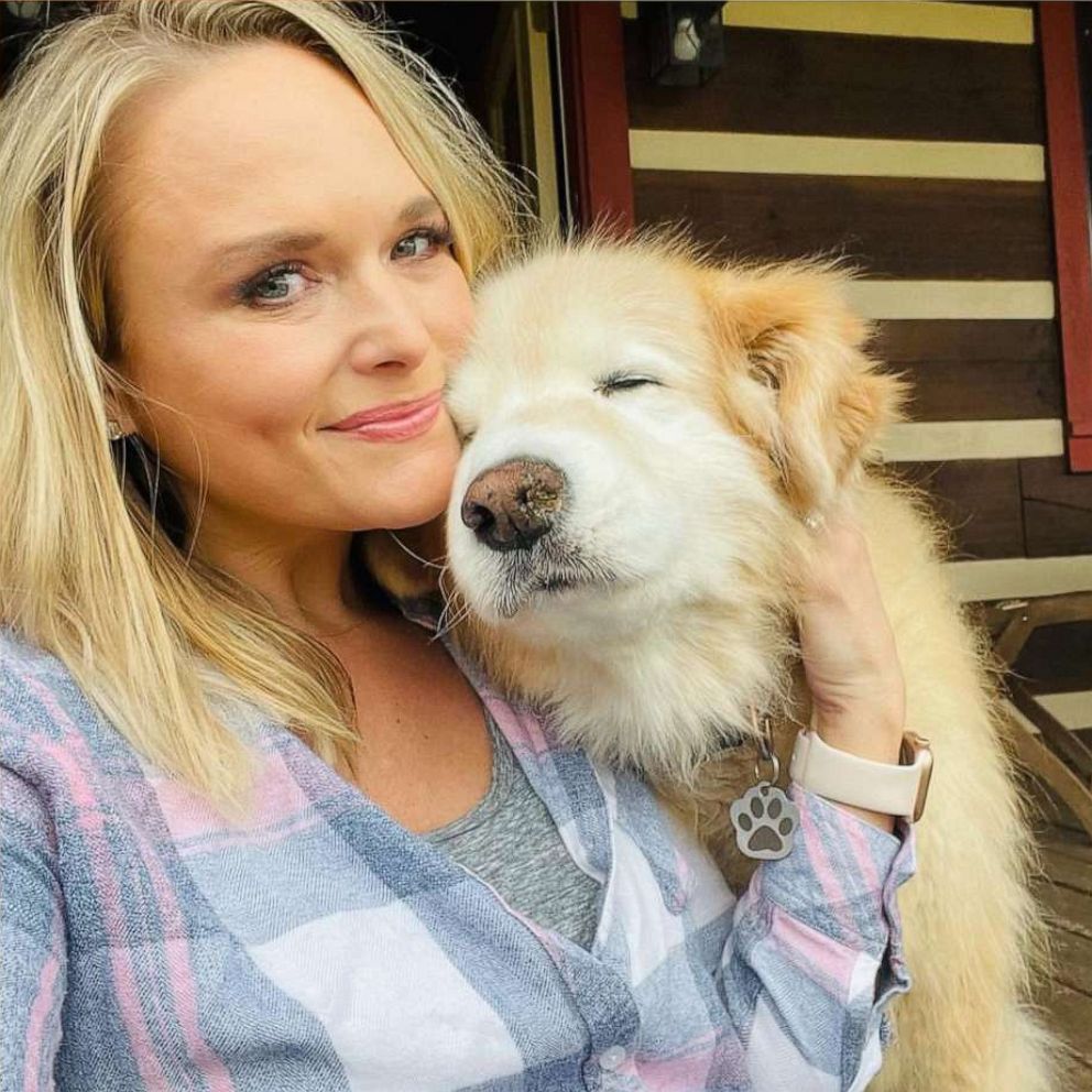 VIDEO: Miranda Lambert wants to share this dog's story for a special reason