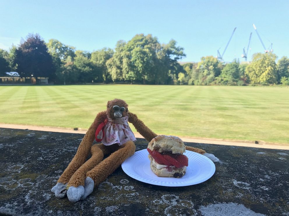 PHOTO: Harriet stuffed monkey Buckingham Palace