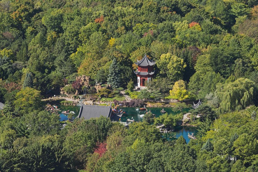 PHOTO: The Botanical Garden, view from the Olympic Centre in Montreal.