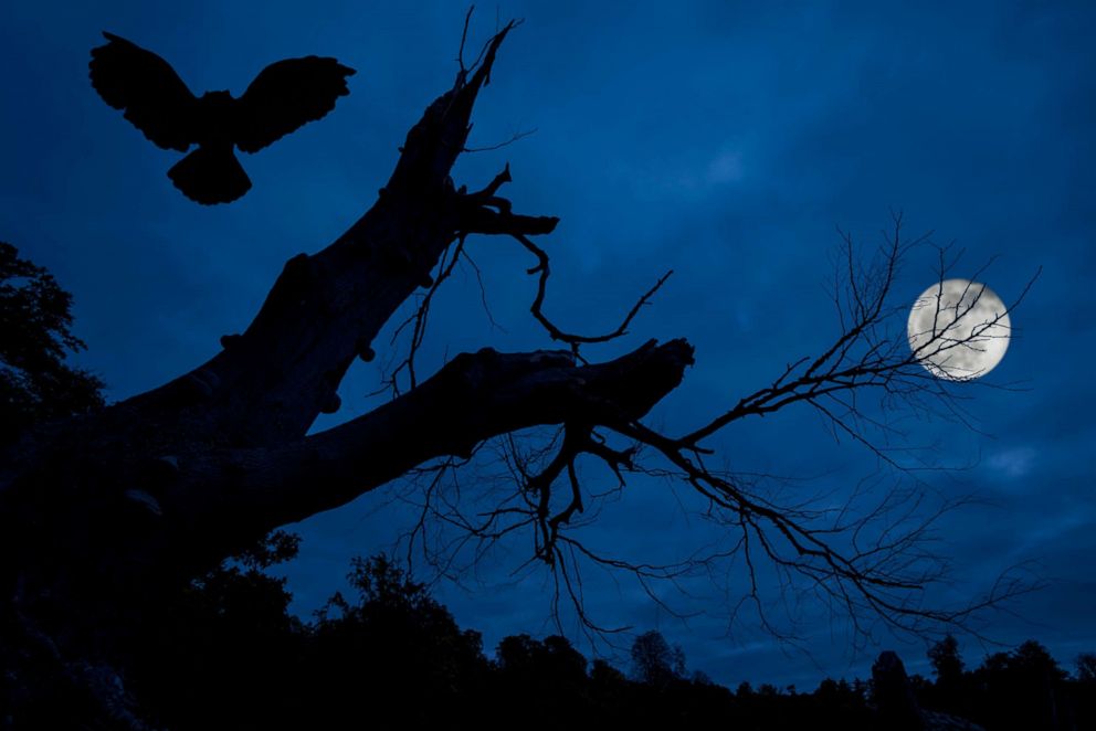 Rare blue moon to light up the sky on Halloween - Good Morning America