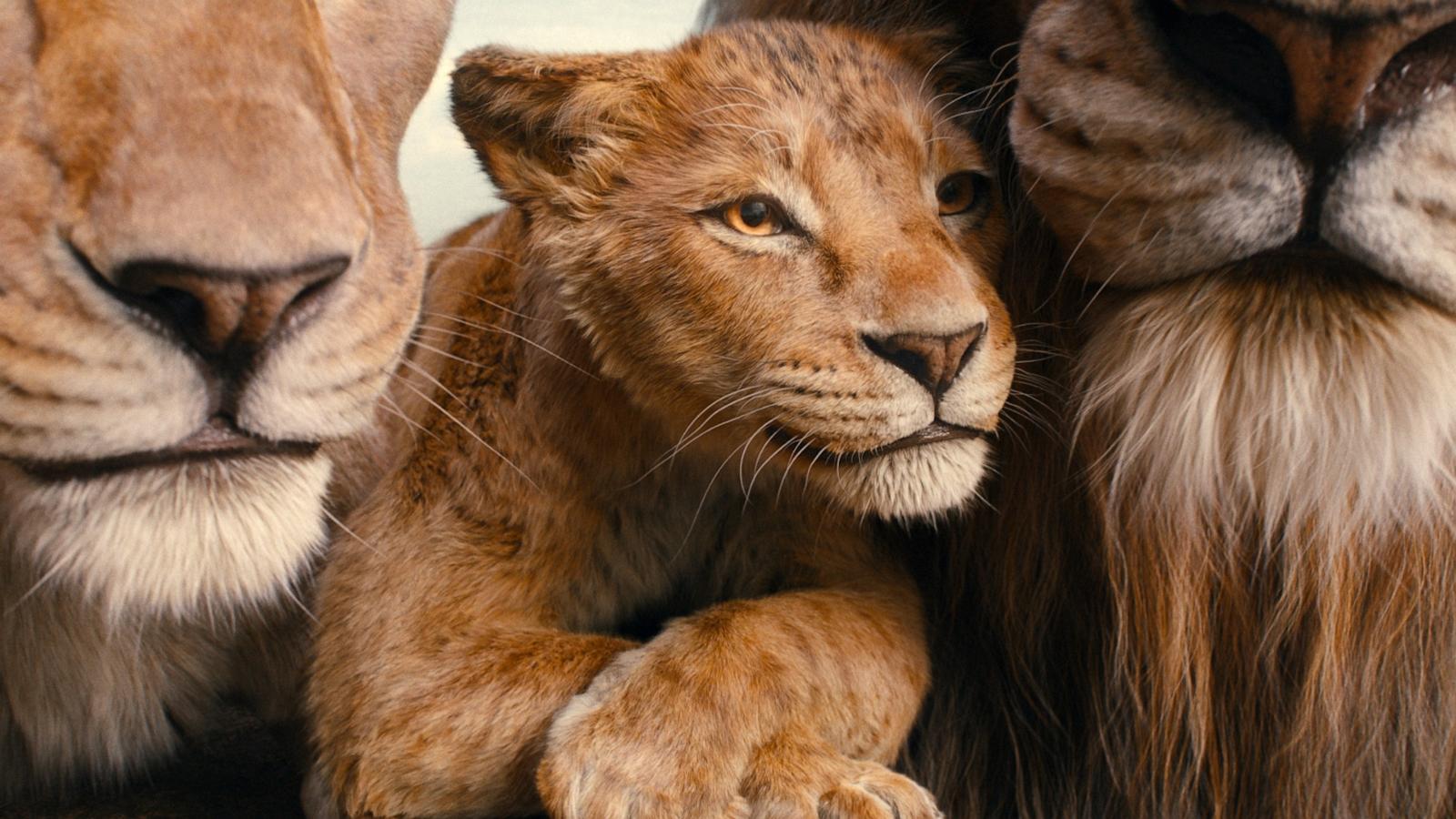 PHOTO: Afia (voiced by Anika Noni Rose), Mufasa (voiced by Braelyn Rankins), and Masego (voiced by Keith David) in Disney's live-action MUFASA: THE LION KING.