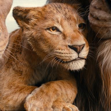 PHOTO: Afia (voiced by Anika Noni Rose), Mufasa (voiced by Braelyn Rankins), and Masego (voiced by Keith David) in Disney's live-action MUFASA: THE LION KING.